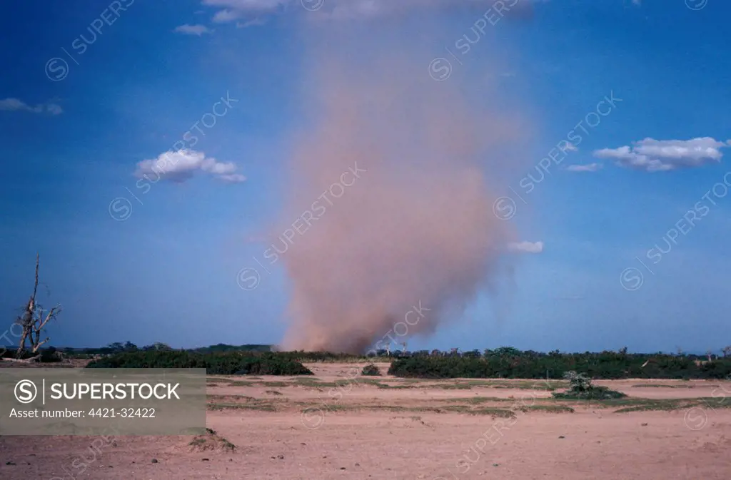 Dust Storms Dust Devil - Tsavo National Park, Kenya
