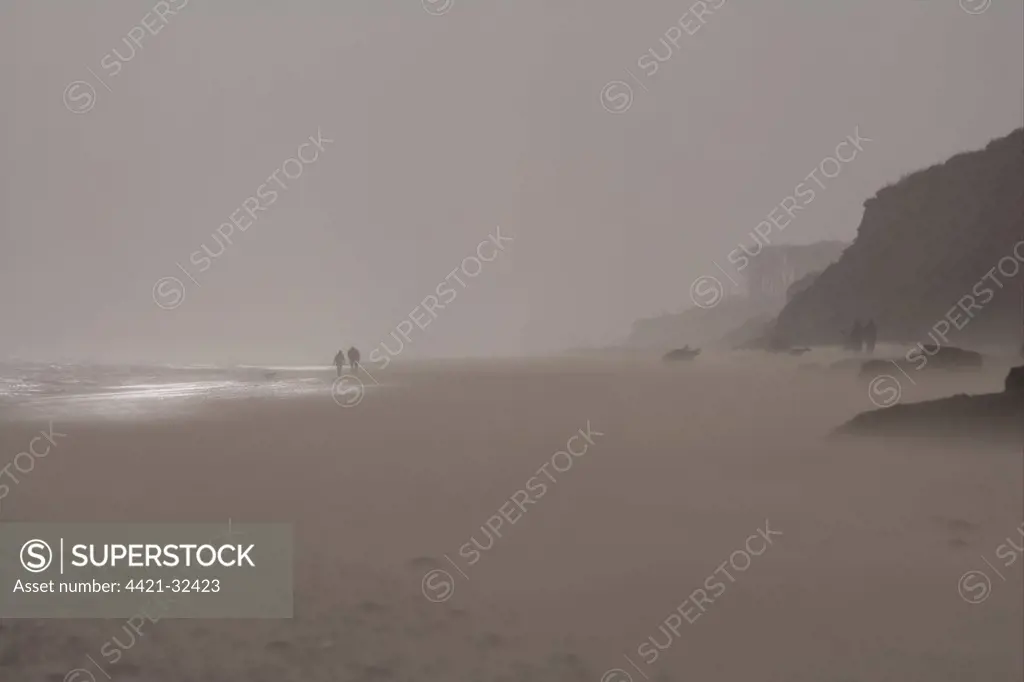 Windblown sand on beach, walkers in sandstorm during gale force winds, Covehithe, Suffolk, England, november