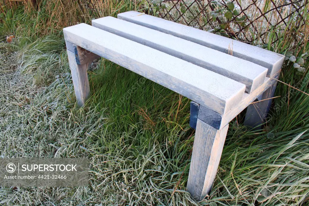 Frost covered bench at edge of lawn, with frost free pocket underneath, in garden at dawn, Suffolk, England, november