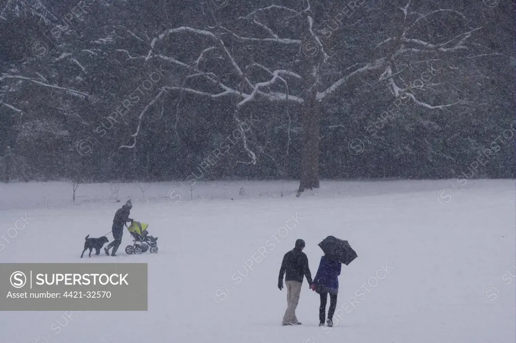 Couple with umbrella and person with pushchair and dog, walking in snowstorm, Christchurch Park, Ipswich, Suffolk, England, january 2010