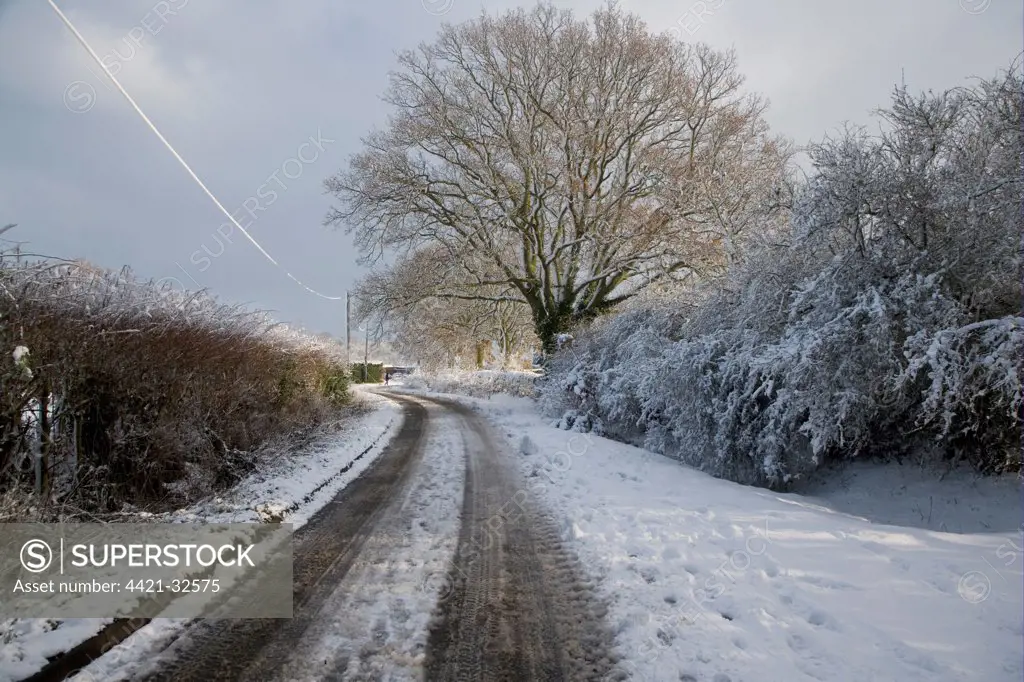 Snow covered lane, with wheel tracks and ice covered telegraph wires, Bentley, Suffolk, England, december 2009