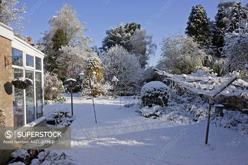 Snow covered garden, with birdtables and feeders, Warwickshire, England, winter
