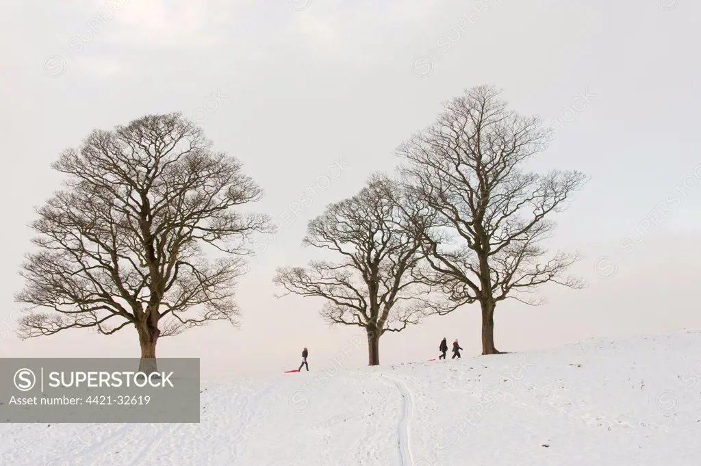 People tobogganing near trees on snow covered slope, Peak District, Derbyshire, England, winter