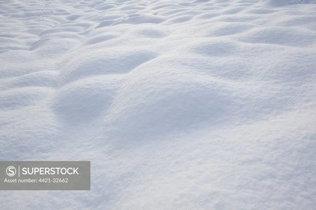 Snow covered urban park, Shirebrook Valley, Sheffield, South Yorkshire, England, december