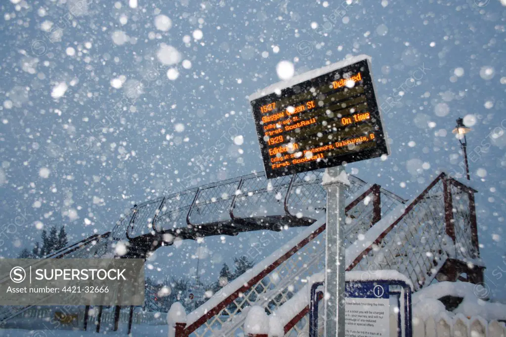 'Train delayed' sign at railway station during snowstorm, Aviemore Station, Cairngorms N.P., Grampian Mountains, Scotland, january