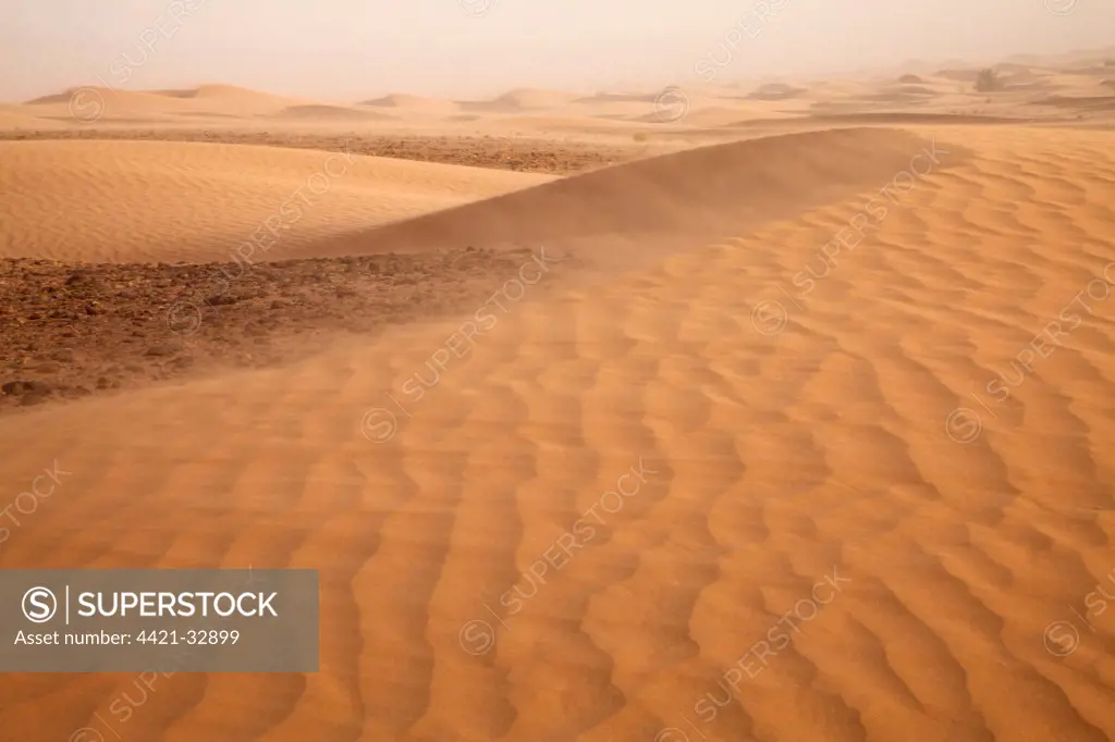 View of desert sand dunes with windblown sand, Sahara, Morocco, may