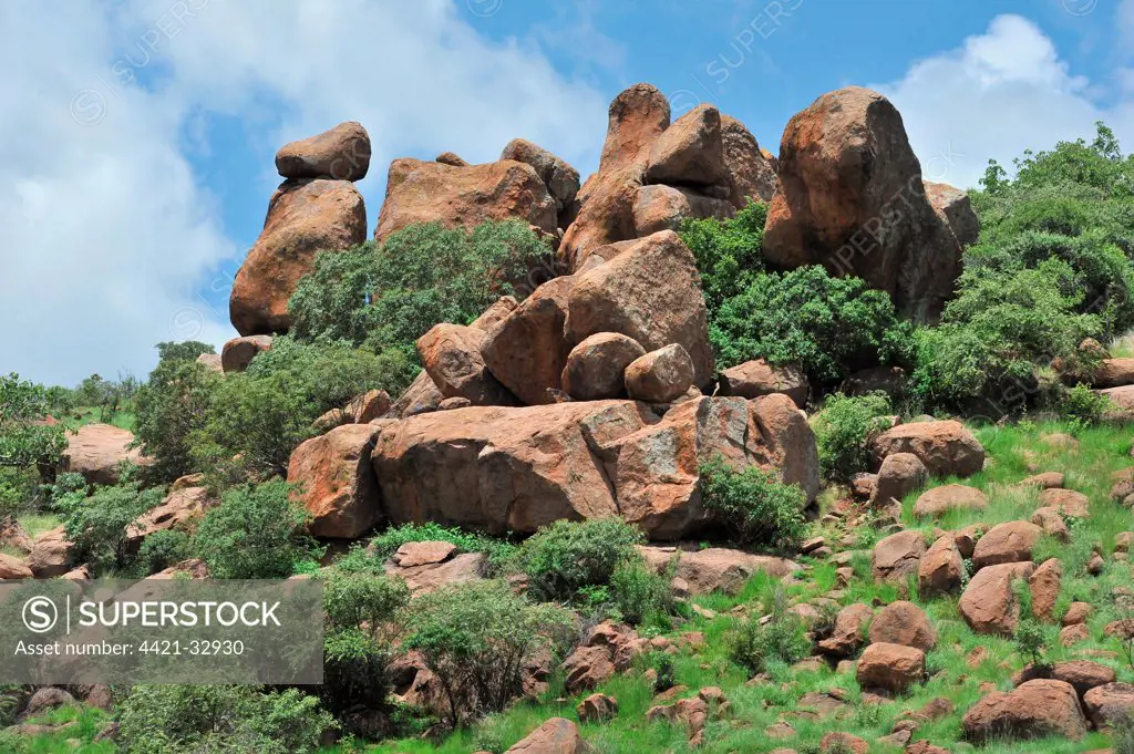 Boulders in lowveld habitat, Pilanesberg N.P., North West Province, South Africa
