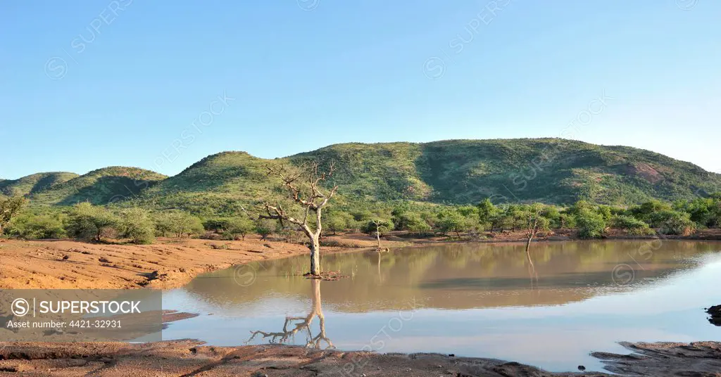 View of waterhole and lowveld habitat, Pilanesberg N.P., North West Province, South Africa