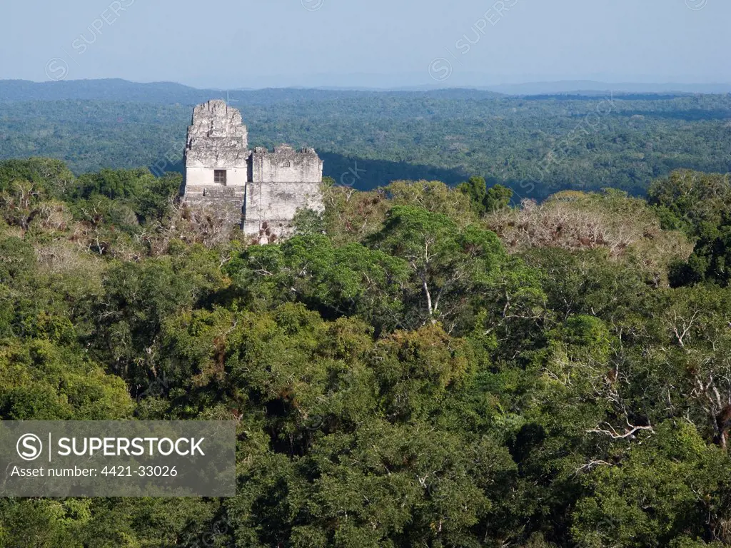 View of Mayan ancient ruined city and lowland tropical forest, Tikal N.P., Peten, Guatemala