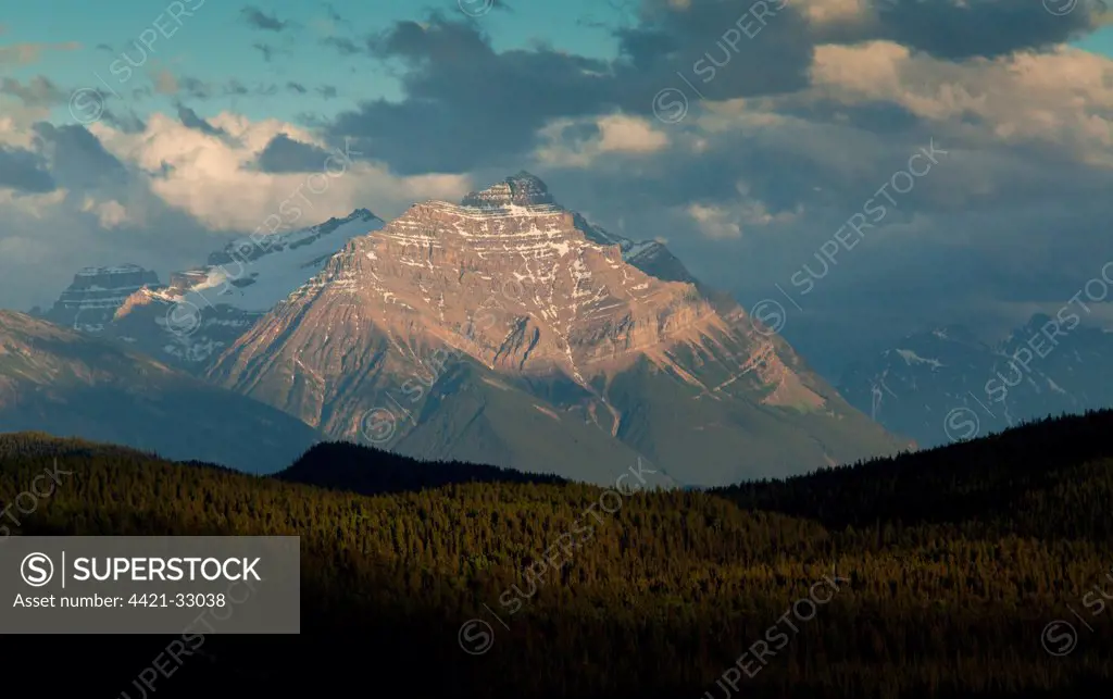 Mountain peak in evening sunlight, Mount Edith Cavell, Jasper N.P., Rocky Mountains, Alberta, Canada, july