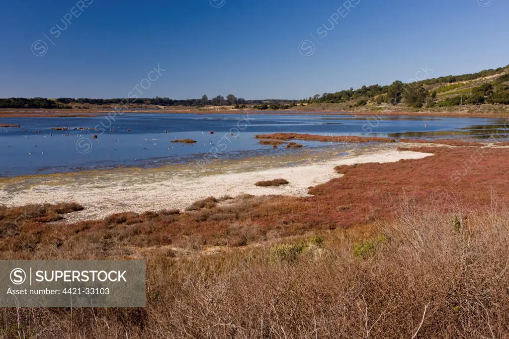 View of saltmarsh, mudflats and estuarine habitat, Elkhorn Slough National Estuarine Research Reserve, California, U.S.A.