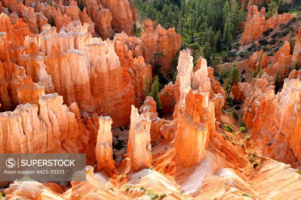 View of hoodoos and cliffs at dawn, rock erosion in natural amphitheatre, Bryce Canyon, Bryce Canyon N.P., Utah, U.S.A., june