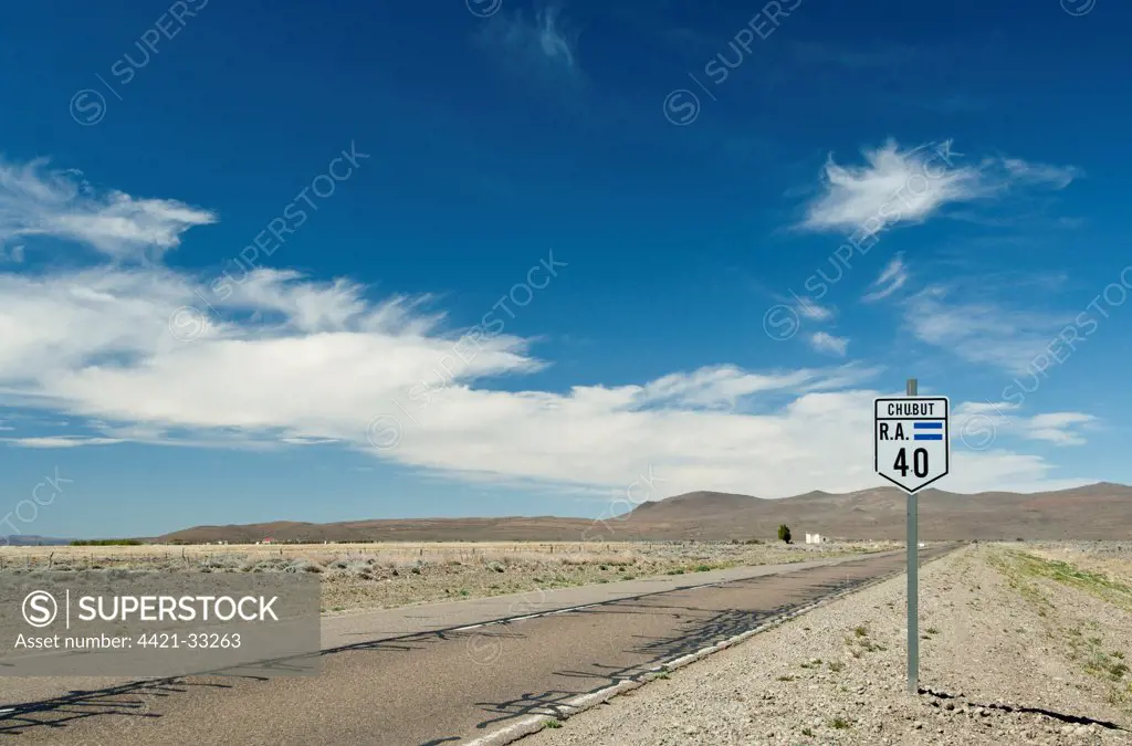 Route 40 sign beside road in steppe, Chubut Provence, Patagonia, Argentina, november