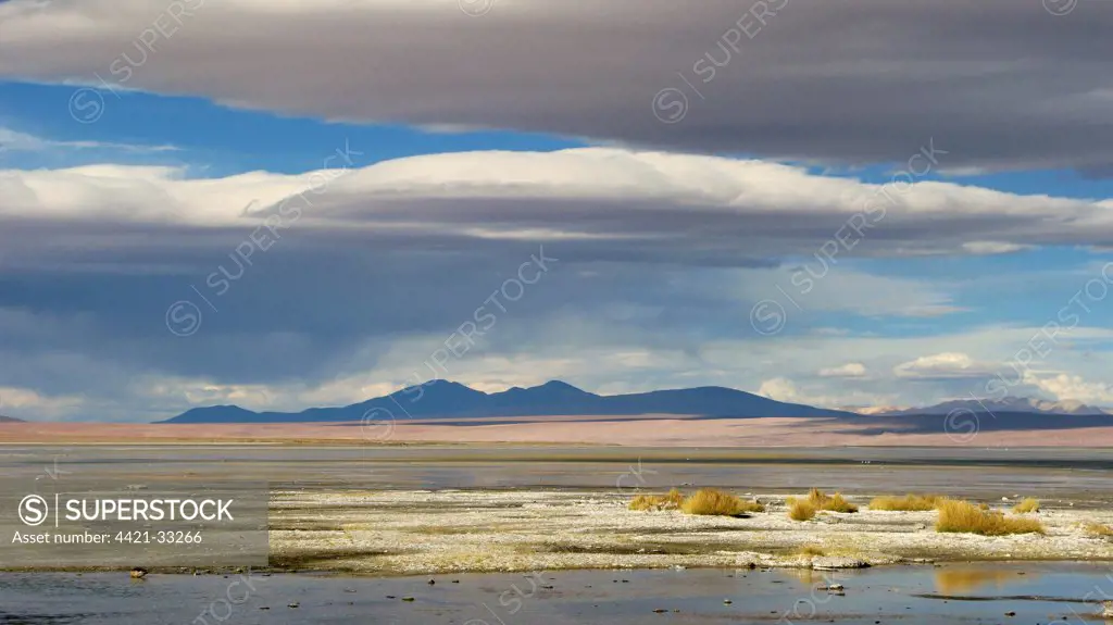 View of hotsprings and saltlake habitat, Atacama Desert, Bolivia
