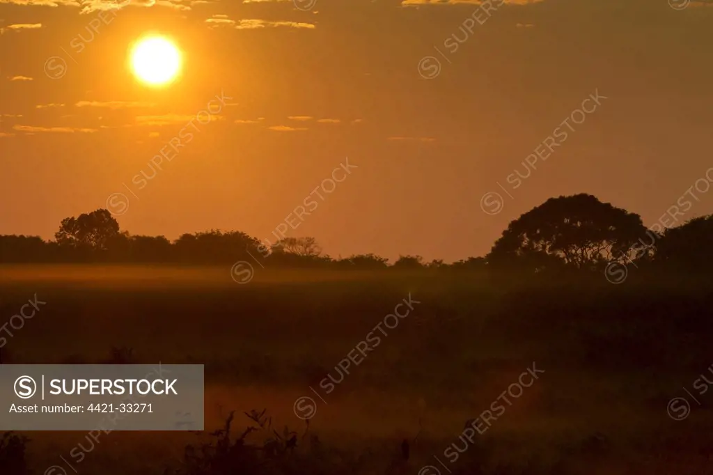 Sunrise over misty landscape, Pantanal, Mato Grosso, Brazil