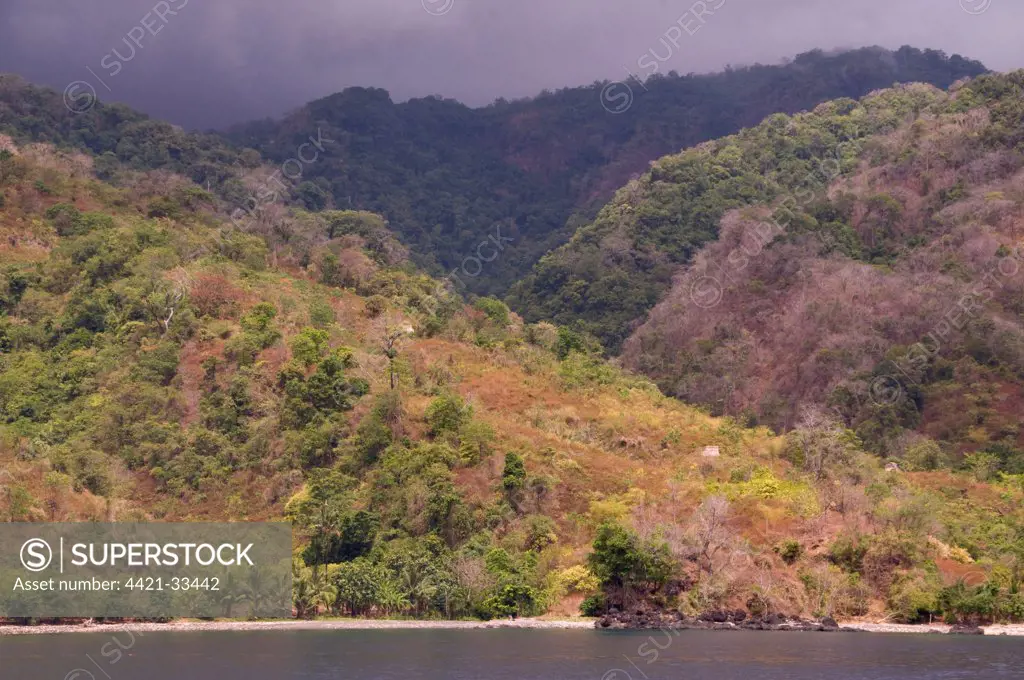 View of coastline with forested hills and rain clouds, West Wetar Island, Alor Archipelago, Lesser Sunda Islands, Indonesia