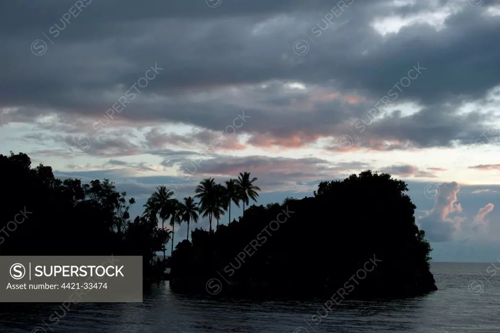 Island with coconut palms silhouetted against clouds at sunset, Raja Ampat Islands (Four Kings), West Papua, New Guinea, Indonesia, december