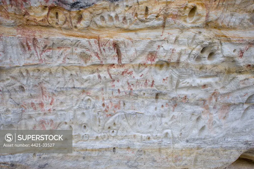 Aboriginal rock art, stencil art and carvings dated circa 2000 years old, showing depictions of hands, emu feet and eggs, Art Gallery, Carnarvon Gorge, Carnarvon N.P., Queensland, Australia