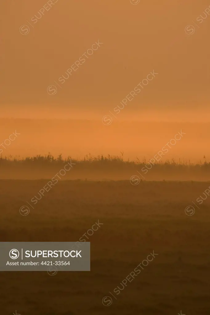 View of coastal grazing marsh at dawn, Salthouse, Norfolk, England, september