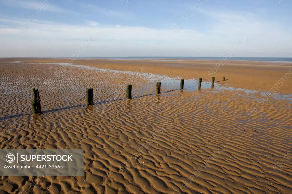 View of wet sandy beach with remains of groynes, Brancaster, Norfolk, England, january
