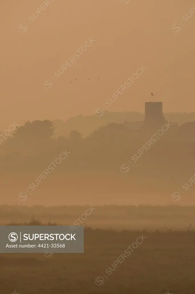 View of coastal grazing marsh at dawn, church tower in distance, Salthouse, Norfolk, England, september