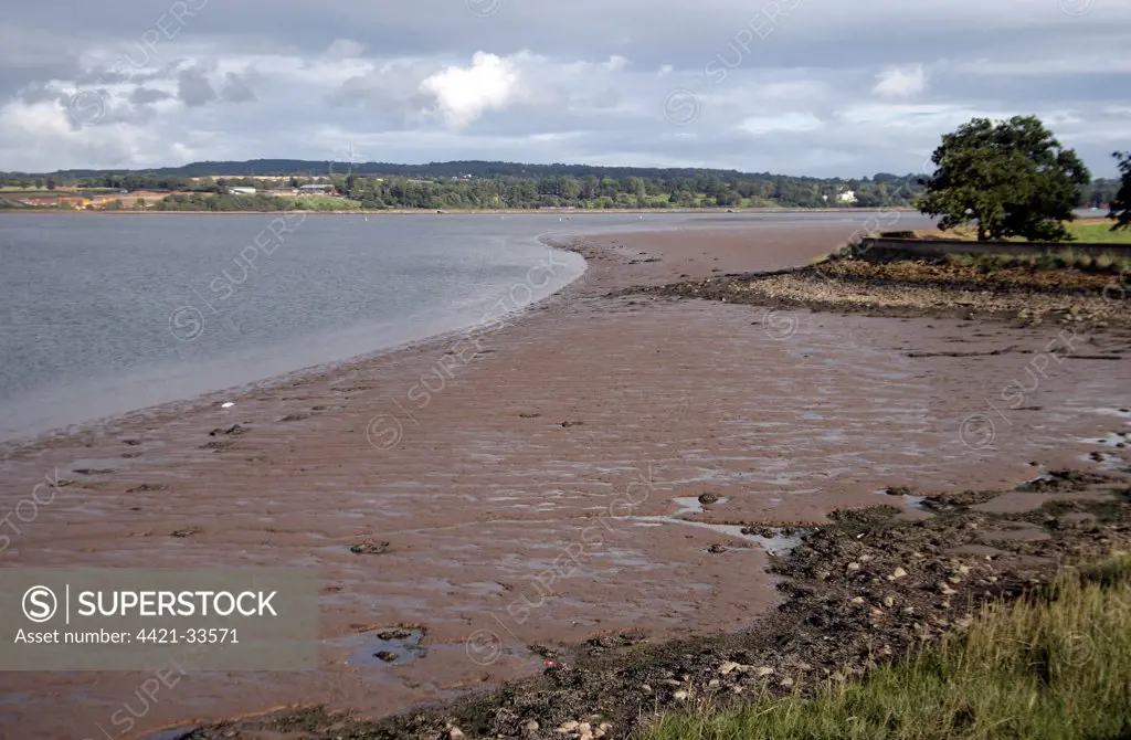 View of mudflats at edge of waterway, Exeter Canal, Exe Estuary, Devon, England
