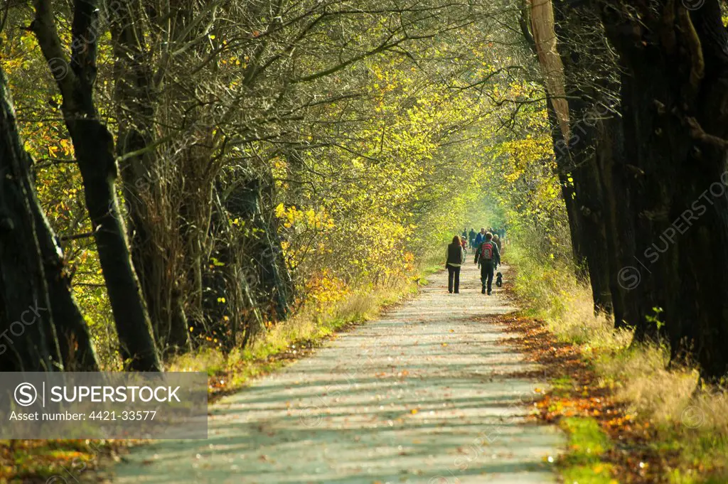 People walking on path through city parkland, Avenham Park, Preston, Lancashire, England, autumn