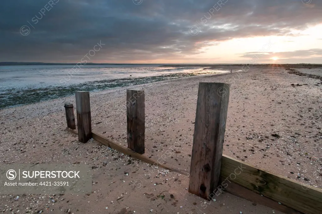 Remains of breakwater on beach at sunset, The Swale National Nature Reserve, Isle of Sheppey, Kent, England, autumn