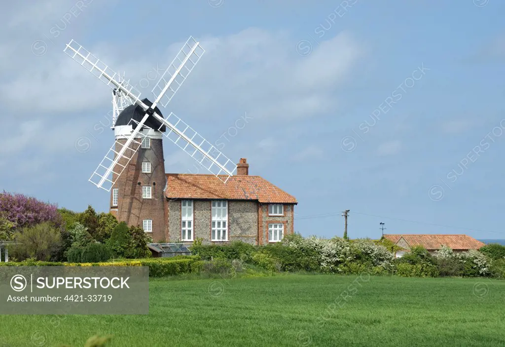 Windmill and arable field, Weybourne Windmill, Weybourne, Norfolk, England, may