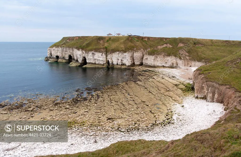 View of coastline and cliffs, Thornwick Bay, Flamborough Head, North Yorkshire, England, july