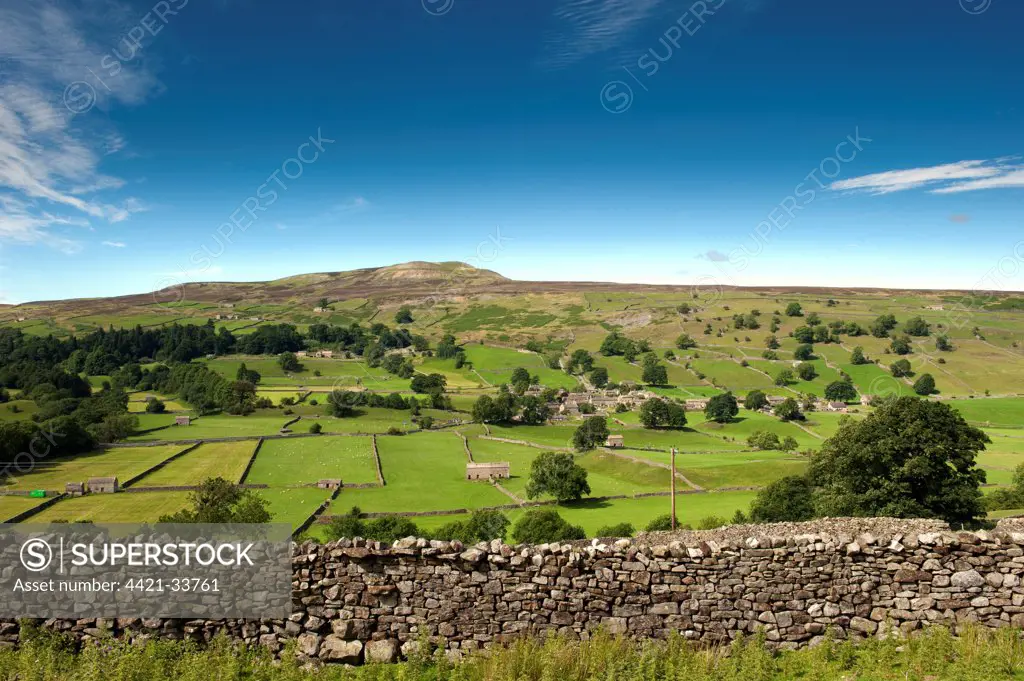 Village of Healaugh below Calver Fell, Swaledale, Yorkshire Dales, North Yorkshire, England, july