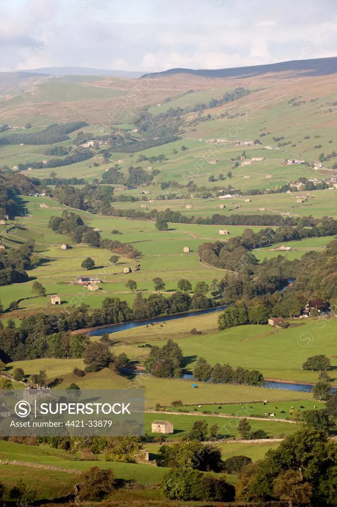 View of farmland in river valley, with stone barns and drystone walls, River Swale, Swaledale, Yorkshire Dales N.P., Yorkshire, England, october
