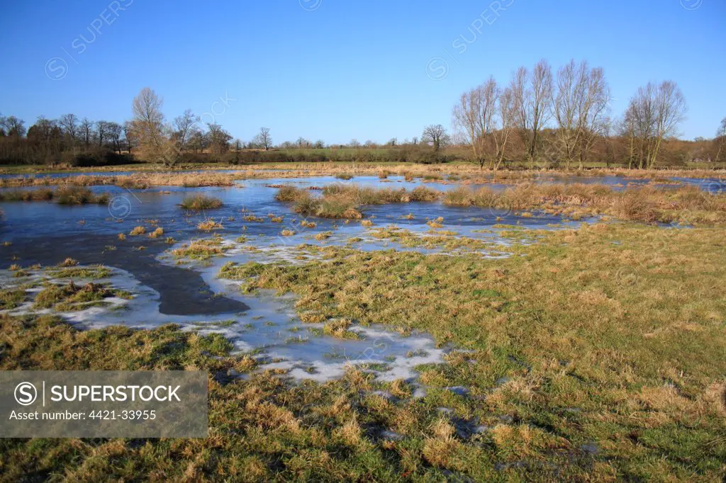 Flooded and frozen unimproved wet grazing meadow, River Dove, Thornham Magna, Suffolk, England, january
