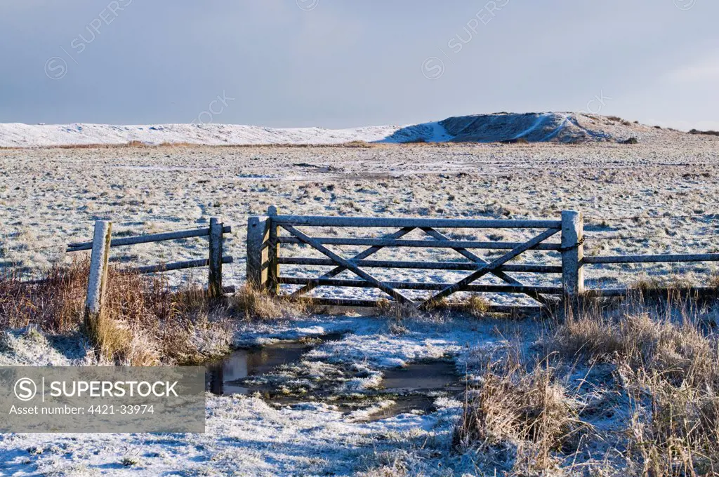 View of gate at edge of snow covered grazing marsh habitat, Kelling Quags, Kelling, Norfolk, England, january