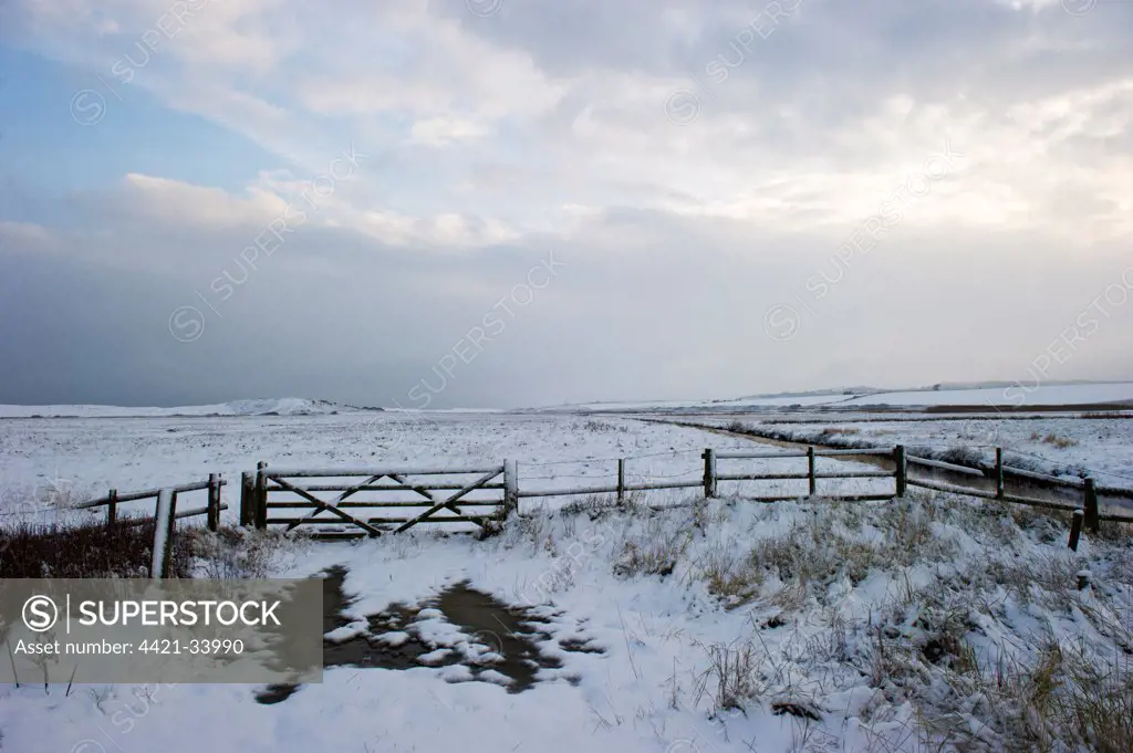 View of gate and snow covered coastal grazing marsh habitat, Salthouse, Norfolk, England, december