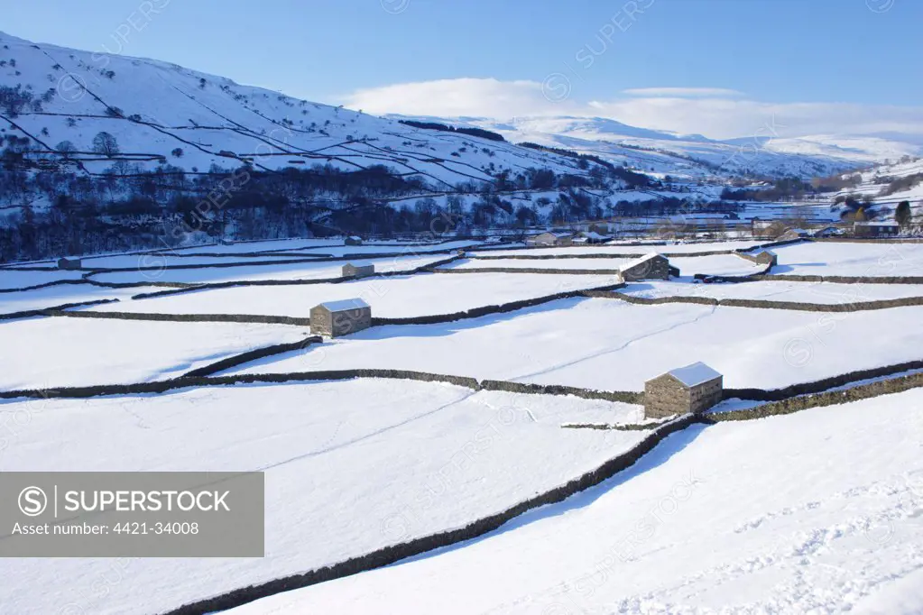 View of stone barns and drystone walls in snow covered valley bottom, Gunnerside, Swaledale, Yorkshire Dales N.P., North Yorkshire, England, december