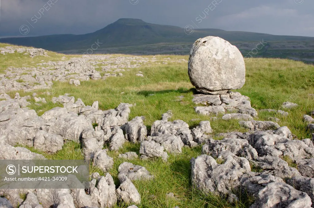 View of limestone pavement and erratic rock, Twistleton Scars, looking towards Ingleborough, Ribblesdale, Yorkshire Dales N.P., North Yorkshire, England, august