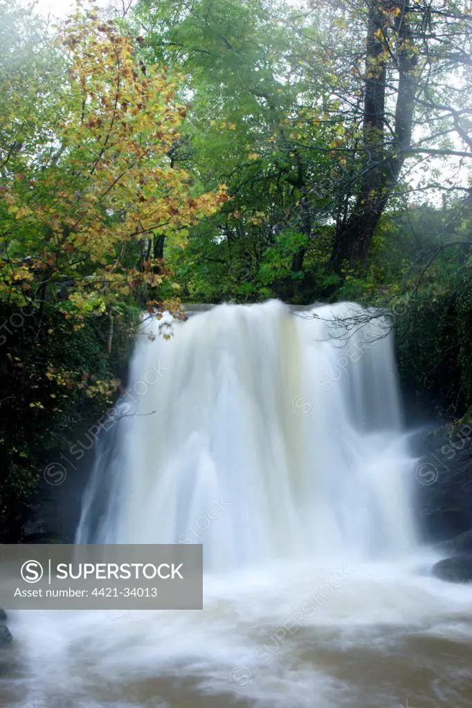 Waterfall after heavy rainfall, Janet's Foss, Gordale Beck, Malhamdale, Yorkshire Dales N.P., North Yorkshire, England, october