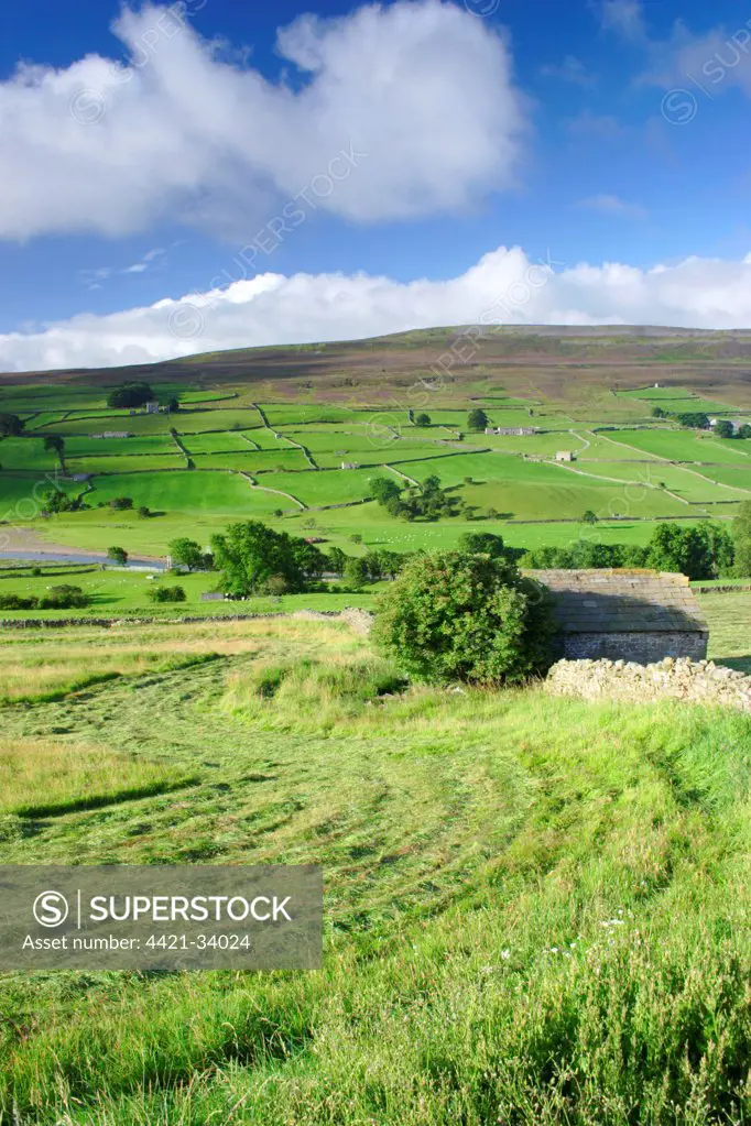 Cut grass in meadow and stone barn near river, drystone walls on hillside, River Swale, Reeth, Swaledale, Yorkshire Dales N.P., North Yorkshire, England, august