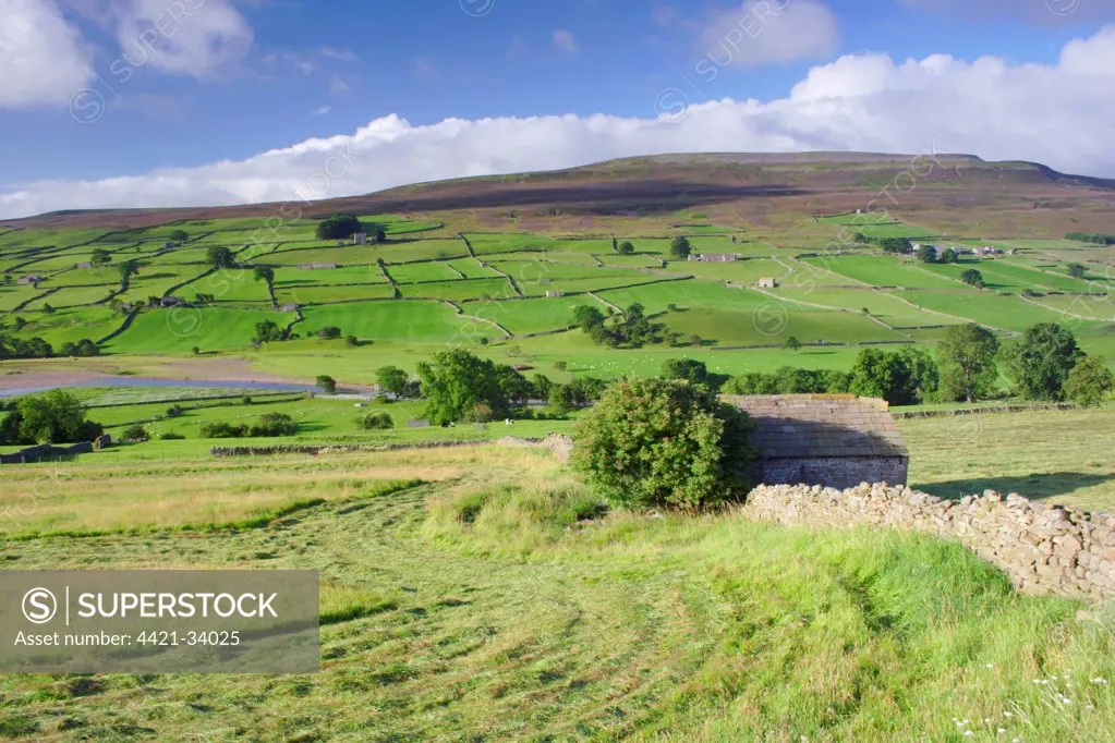 Cut grass in meadow and stone barn near river, drystone walls on hillside, River Swale, Reeth, Swaledale, Yorkshire Dales N.P., North Yorkshire, England, august