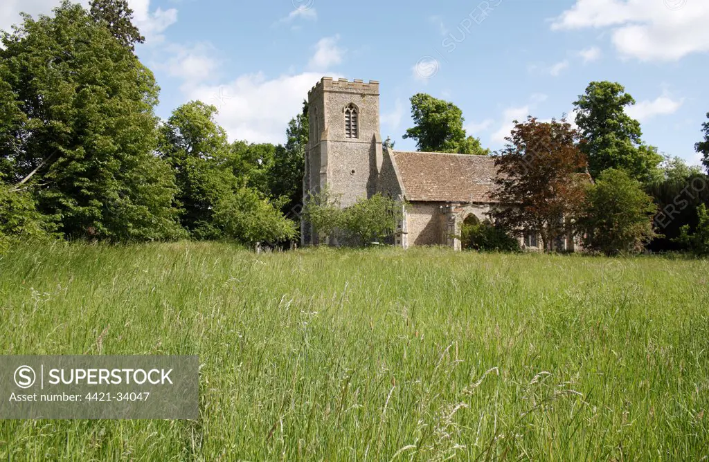 View of 14th Century church beside long grass of meadow, St. Nicholas' Church, Thelnetham, Suffolk, England, may