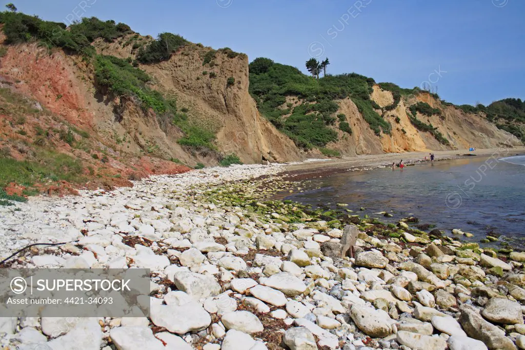 Chalk rocks on beach, with eroded sand and clay sea cliffs, Whitecliff Bay, Isle of Wight, England, june