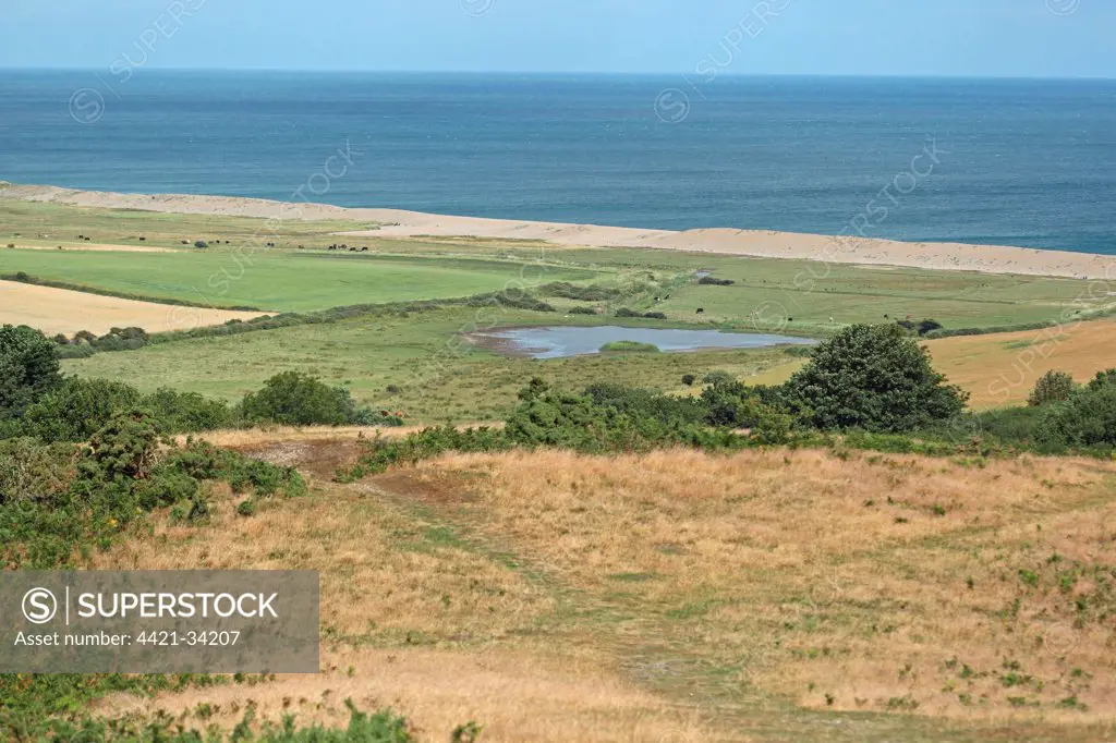 View of watermeadow habitat and coastline, Kelling, Norfolk, England, july
