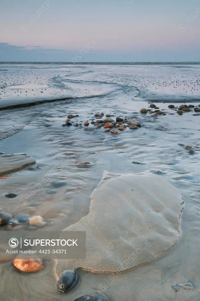 View of coastal mudflats with channels and pebbles at sunset, Dungeness, Kent, England, june