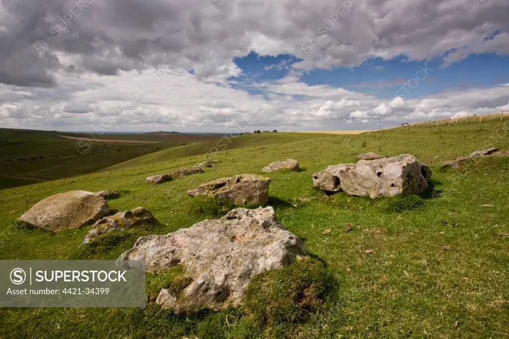 Weathered sandstone rocks on steep south-facing chalk downland, Sarsen Stones, Pewsey Downs National Nature Reserve, Wiltshire, England, august