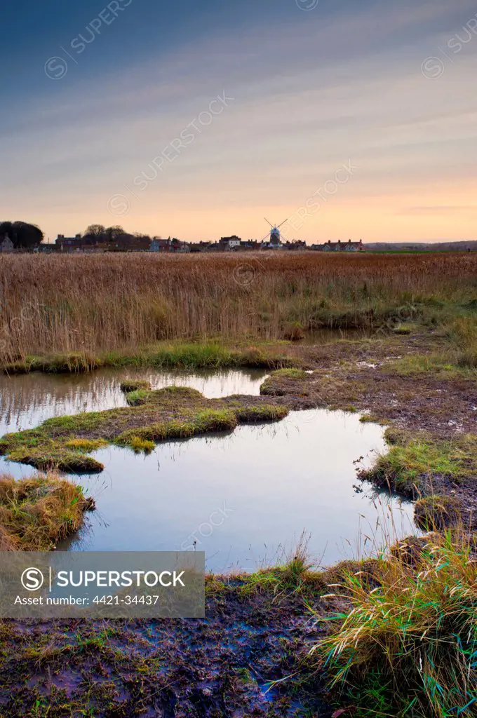 View of coastal marshland habitat and distant windmill at dusk, Cley Mill, Westbank Marsh, Cley-next-the-sea, Norfolk, England, january