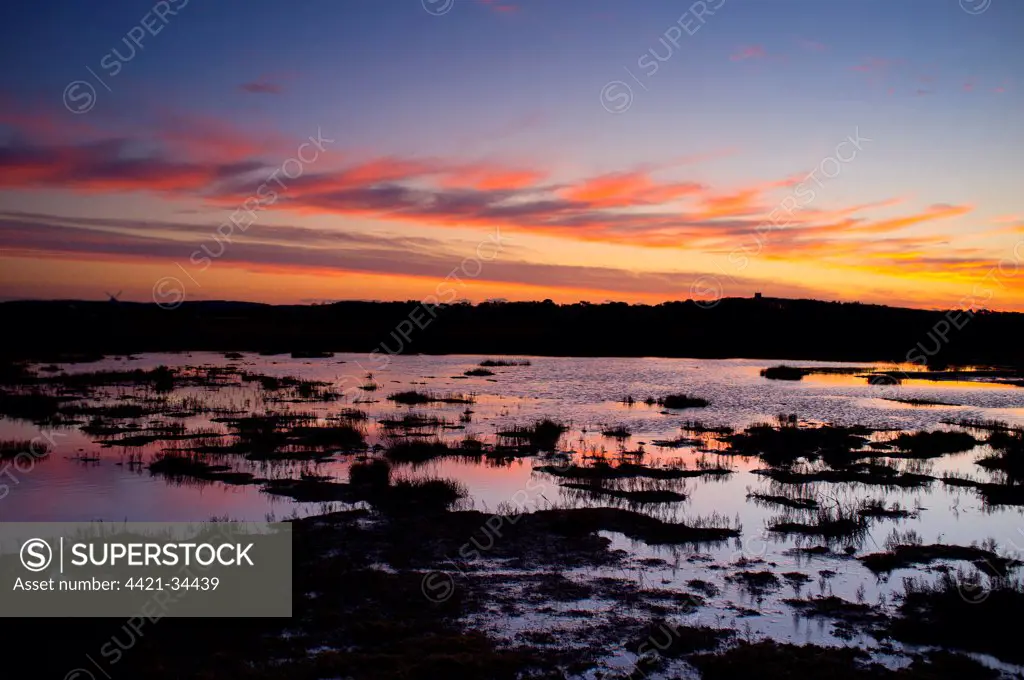 View of coastal marshland habitat and distant windmill at sunset, Cley Mill, Westbank Marsh, Cley-next-the-sea, Norfolk, England, january