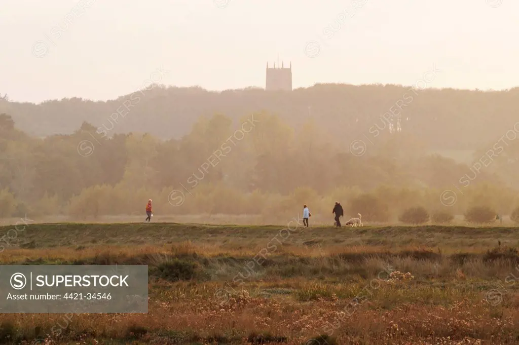 View of walkers with dogs at sunset, with church tower in distance, Cley Marshes, Cley-next-the-sea, North Norfolk, England, october