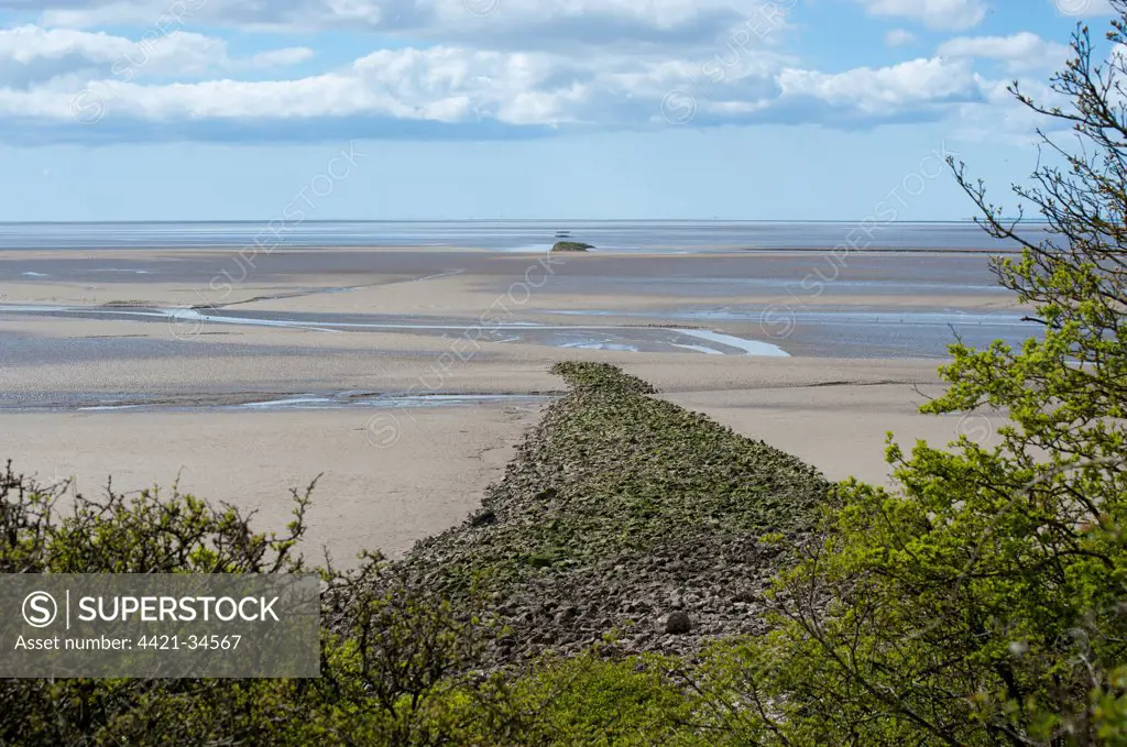 Limestone embankment, relic of over-ambitious land reclamation scheme of 1873, intended to reclaim marshes between Jenny Brown's Point and Hest Bank, Silverdale, Morecambe Bay, Lancashire, England, april