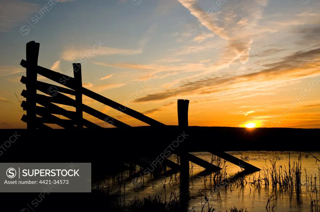 Fencing silhouetted in marshland habitat at sunrise, Elmley National Nature Reserve, North Kent Marshes, Isle of Sheppey, Kent, England, december
